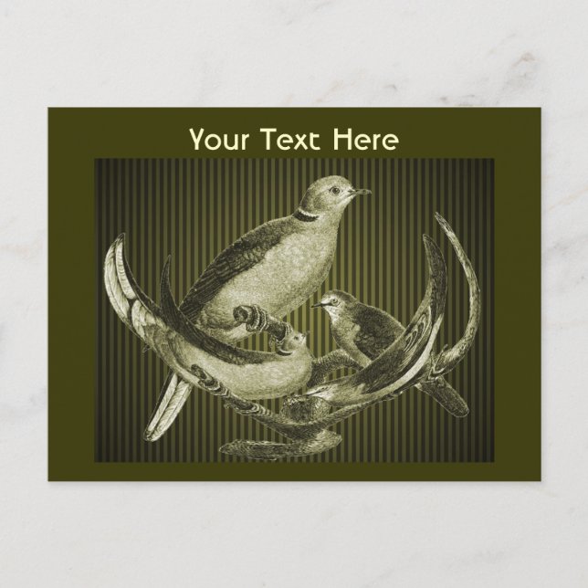 Doves sur succursale Carte postale personnalisable (Devant)