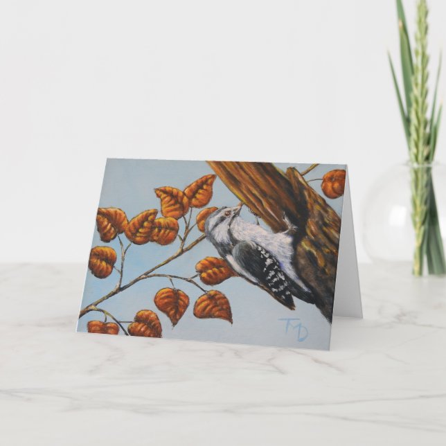 Downy Woodpecker - Carte de voeux vierge (Devant)