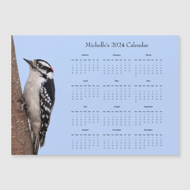 Downy Woodpecker personnalise le calendrier 2024 (Devant)