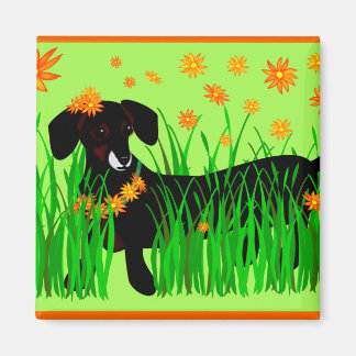 Doxie d'été, aimant