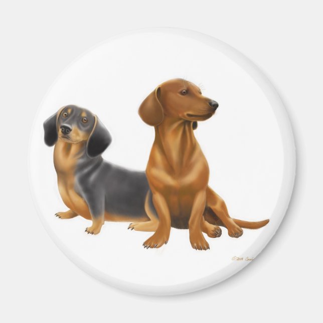 Doxie Wiener Dogs Magnet (Devant)