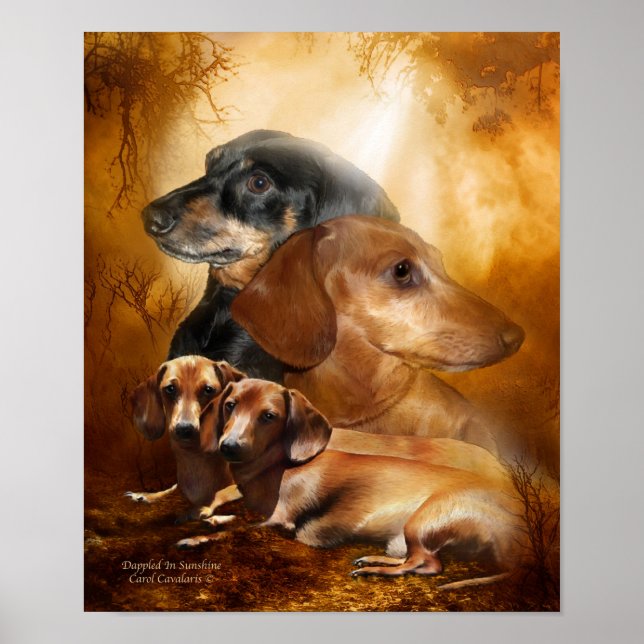 Doxies - Dappé Dans L'Art Sunshine Poster / Imprim (Devant)