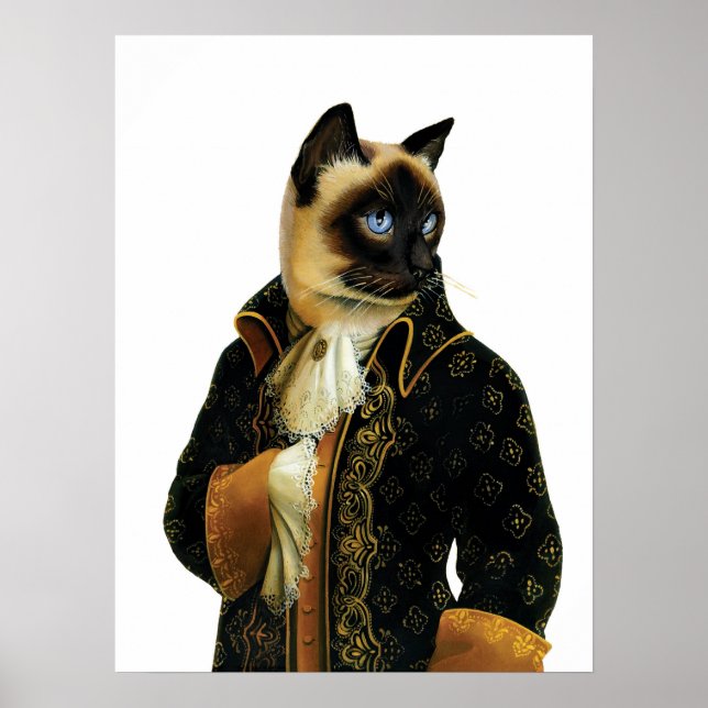 DR.041 Poster de chat de Siamese (Devant)