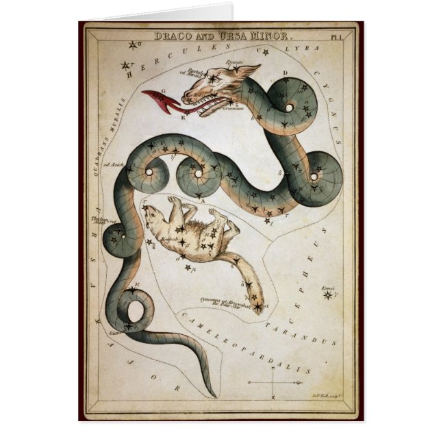 Draco et mineur d'Ursa (Devant)