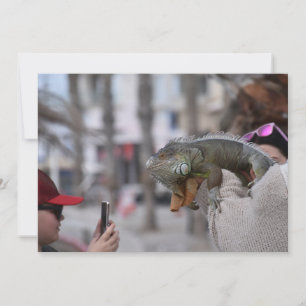 Dragon à boucle sur le front de mer Paphos carte p