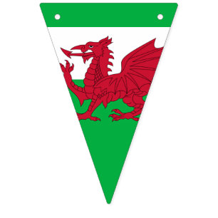 Dragon gallois ~ Drapeau du Pays de Galles
