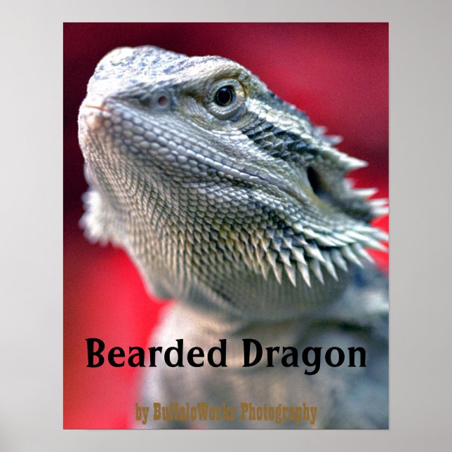 Dragon Head Poster (Devant)