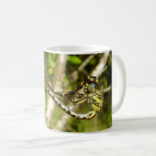 Dragonflies à queue serrée Mating Bug Mug