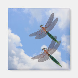 Dragonflies Ciel Bleu Nuages Nature Magnet