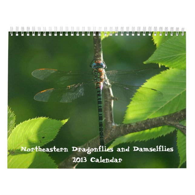 Dragonflies du nord-est Damselflies Calendrier 201 (Protection)