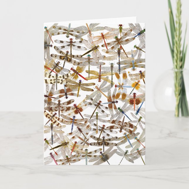 Dragonflies Galore ! Carte de vœux (Devant)