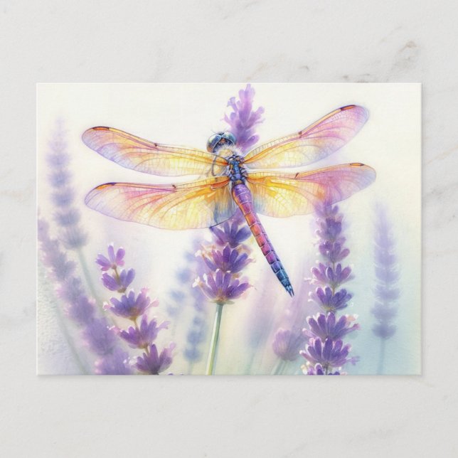 Dragonfly Among Lavender Flowers Carte Postale (Devant)