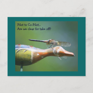 Dragonfly Co Pilot Humour Nature Carte Postale