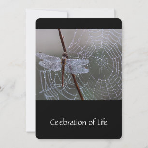 Dragonfly Dewdrops, Invitation du service commémor