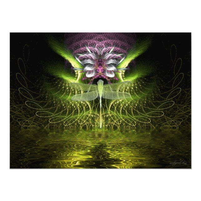 Dragonfly Fractal Magic Photo (Devant)