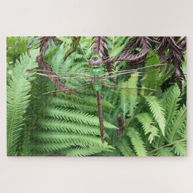Dragonfly in Garden Puzzle (Horizontal)