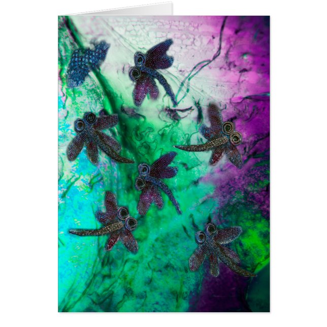 Dragonfly Magic (Devant)