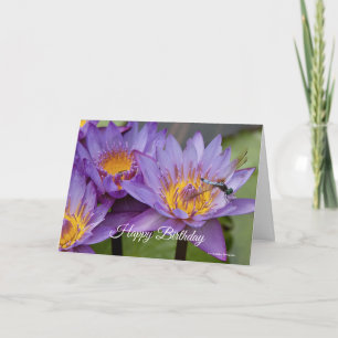 Dragonfly sur la carte d'anniversaire Lily