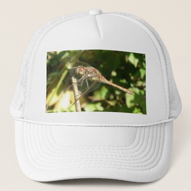 Dragonfly sur un Casquette de Twig (Devant)