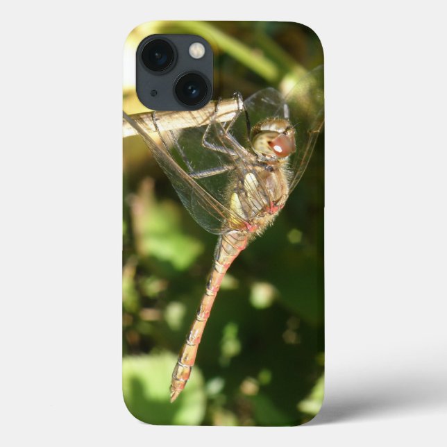 Dragonfly sur un coque ipad de Twig (Verso)