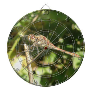 Dragonfly sur une Cible de flechettes de brindille