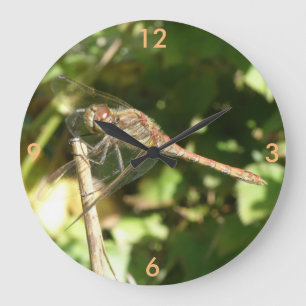 Dragonfly sur une horloge murale de brindilles