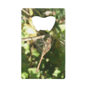 Dragonfly sur une ouverture de bouteille de wig