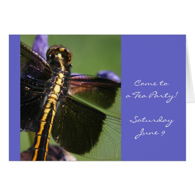 Dragonfly Wings (Devant horizontal)