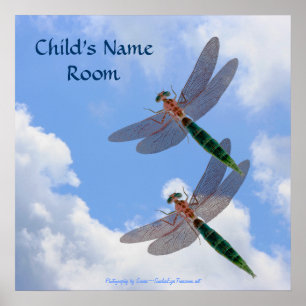 Dragonlies Blue Sky Nature Kids Room Poster