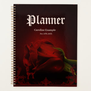 Drama of Love, le Rose gothique de Memory.