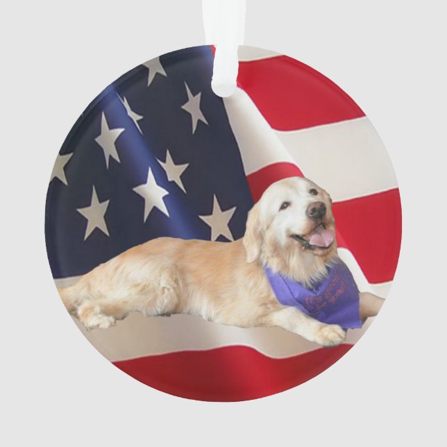 Drapeau américain impertinent de golden retriever (dos)