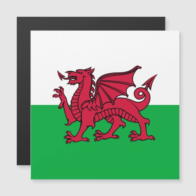 Drapeau celtique du Dragon rouge du Pays de Galles (Devant / Derrière)