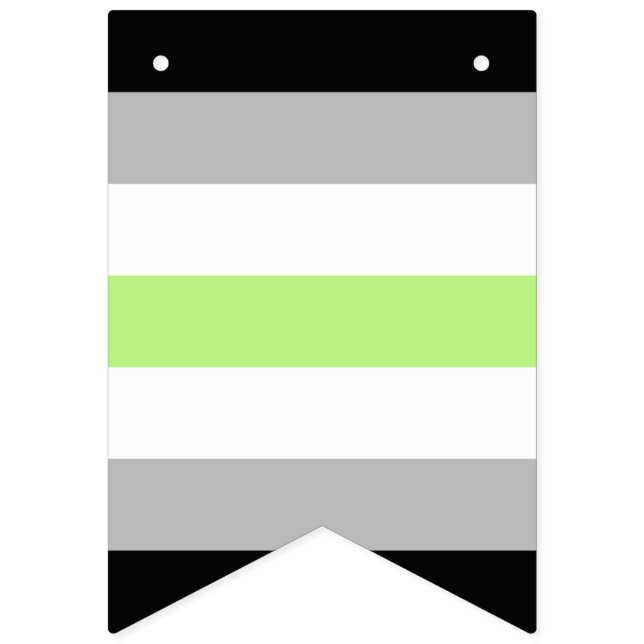 Drapeau de fierté agender – Identité agender LGBTQ (Seizième drapeau)