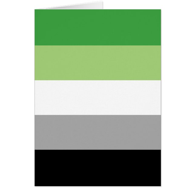 Drapeau de fierté aromantique LGBTQ (Devant)