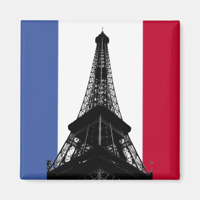 Drapeau de France Magnet (Devant)
