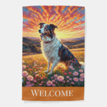 Border Collie à la ferme