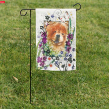 GRAINES DE CHANGEMENT CHEVALIER rouge