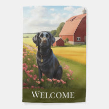 Labrador Retriever à la ferme