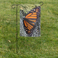 Papillon monarque sur verdure