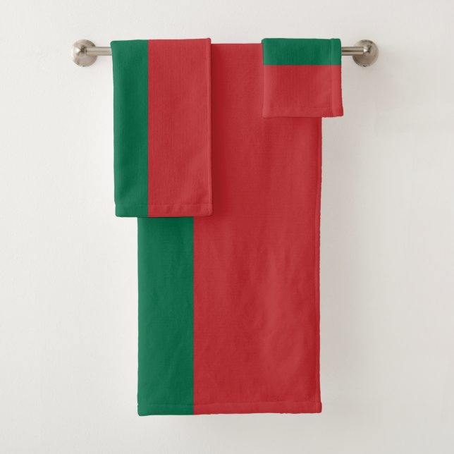 Drapeau de la Lituanie (En situation)