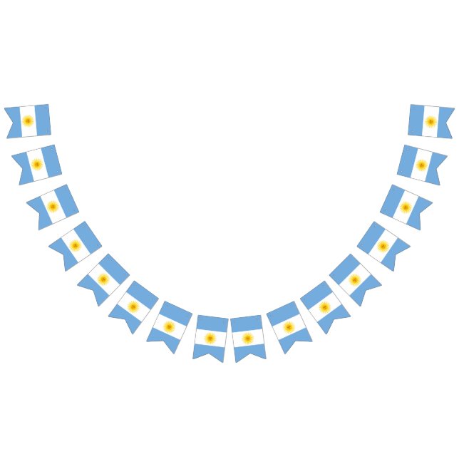 Drapeau de l'Argentine (Tout)