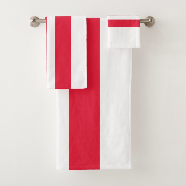 Drapeau de l'État de Washington DC (En situation)