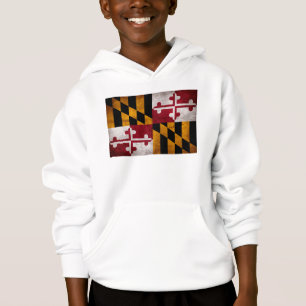 Drapeau de l'État du Maryland vintage patiné