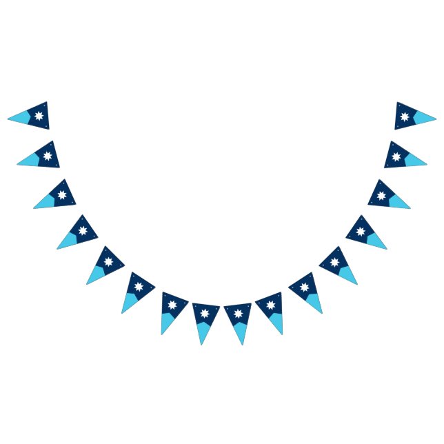 Drapeau de l'État du Minnesota Pennant Bunting (Tout)