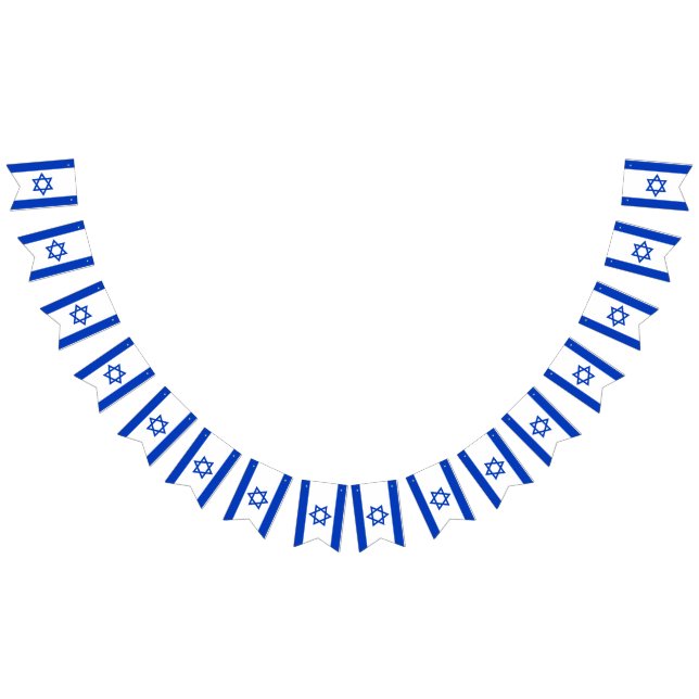 Drapeau de l'Israël (Tout)