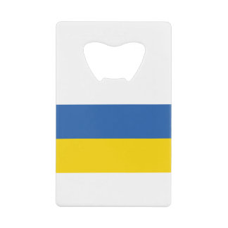 DRAPEAU DE L'UKRAINE