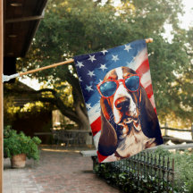 Basset Hound 4 juillet fête de l'indépendance