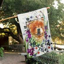 GRAINES DE CHANGEMENT CHEVALIER rouge