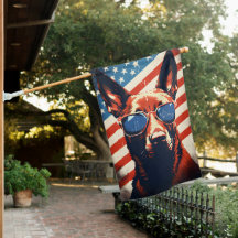 Malinois belge 4 juillet fête de l'indépendance
