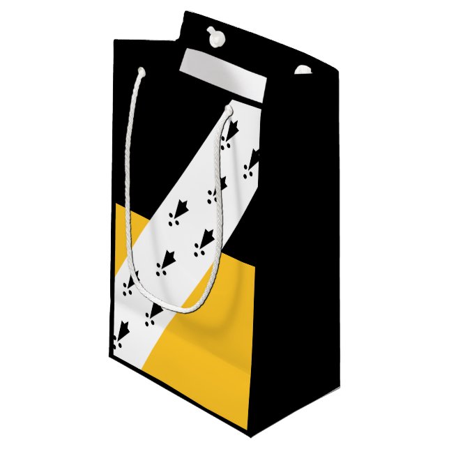 Drapeau de Norfolk Petit sac cadeau (Devant Angle)